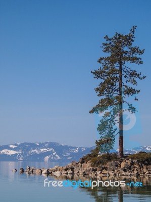 Landscape Of Lake Tahoe Stock Photo