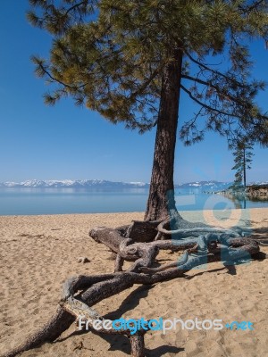 Landscape Of Lake Tahoe Stock Photo