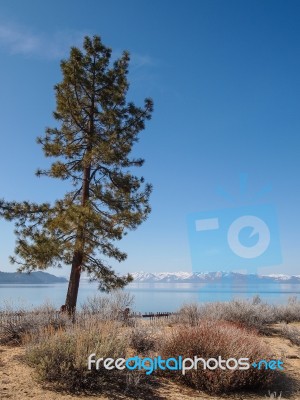 Landscape Of Lake Tahoe Stock Photo