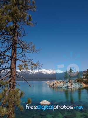 Landscape Of Lake Tahoe Stock Photo