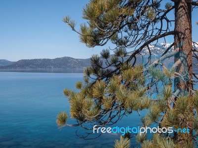 Landscape Of Lake Tahoe Stock Photo