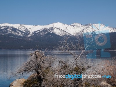 Landscape Of Lake Tahoe Stock Photo