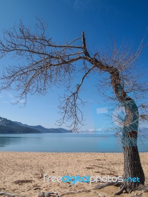 Landscape Of Lake Tahoe Stock Photo