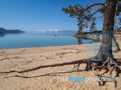 Landscape Of Lake Tahoe Stock Photo