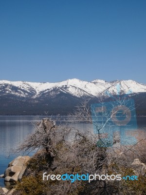 Landscape Of Lake Tahoe Stock Photo