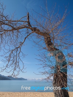 Landscape Of Lake Tahoe Stock Photo