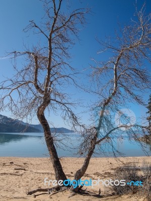 Landscape Of Lake Tahoe Stock Photo