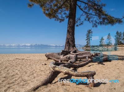 Landscape Of Lake Tahoe Stock Photo