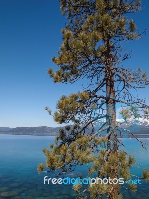 Landscape Of Lake Tahoe Stock Photo