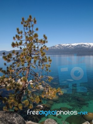 Landscape Of Lake Tahoe Stock Photo