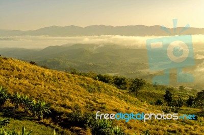 Landscape Of Mountain With The Clouds And Fog Stock Photo