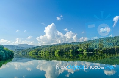 Landscape Of The Dam And Lake On The Mountain With Tree And Forest Stock Photo