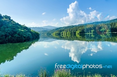 Landscape Of The Dam And Lake On The Mountain With Tree And Forest Stock Photo