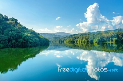 Landscape Of The Dam And Lake On The Mountain With Tree And Forest Stock Photo