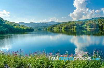 Landscape Of The Dam And Lake On The Mountain With Tree And Forest Stock Photo