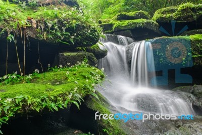 Landscape Of Waterfall In Deep Rain Forest Of Bolaven Plateau, C… Stock Photo