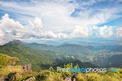 Landscape On Phu Chi Fa Forest Park Stock Photo