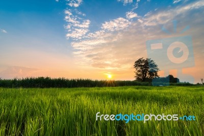 Landscape Sunset Field Stock Photo