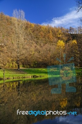 Landscape With Lake Stock Photo