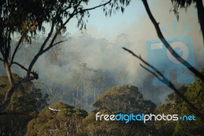 Landscape With Smoke Stock Photo