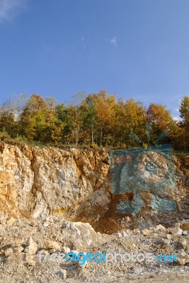 Landscape With Trees Stock Photo