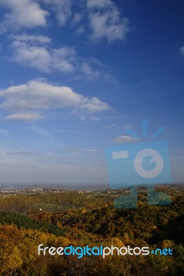 Landscape With Trees Stock Photo