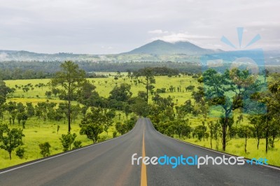 Lane Blacktop In The Forest Stock Photo