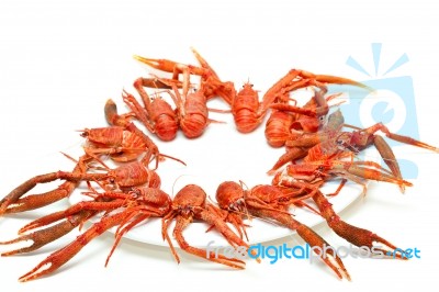 Langoustines Stock Photo