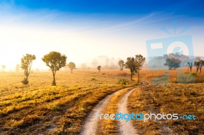 Lanscape Beautiful Sunrise Mountain And Foggy In Thailand Stock Photo