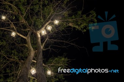 Lanterns Hanging From Tree Stock Photo