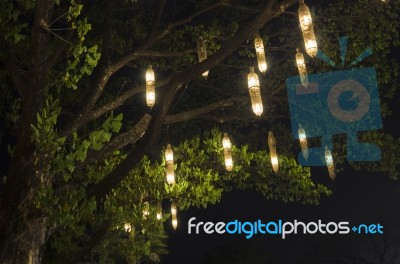 Lanterns Hanging From Tree Stock Photo