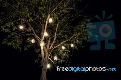 Lanterns Hanging From Tree Stock Photo