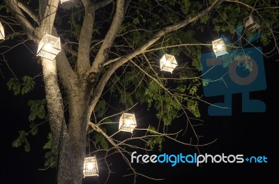 Lanterns Hanging From Tree Stock Photo