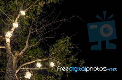 Lanterns Hanging From Tree Stock Photo