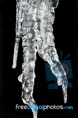 Large Icicle In December2 Stock Photo