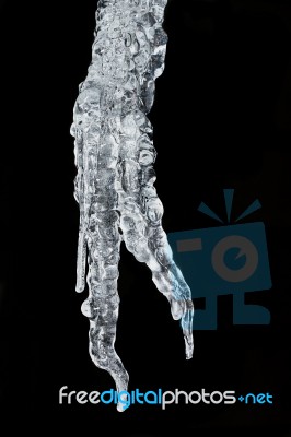 Large Icicle In December5 Stock Photo