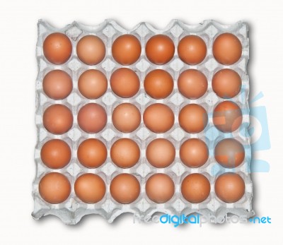 Large Tray Of Fresh Eggs Stock Photo