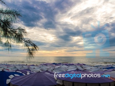 Large Umbrella Crowded Along The Beach Stock Photo