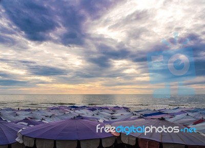 Large Umbrella Crowded Along The Beach Stock Photo