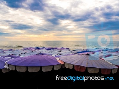 Large Umbrella Crowded Along The Beach Stock Photo