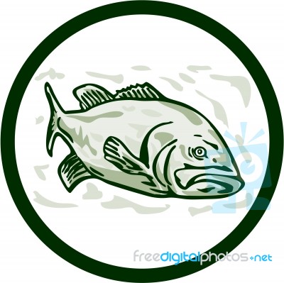 Largemouth Bass Fish Front Side Circle Cartoon Stock Image