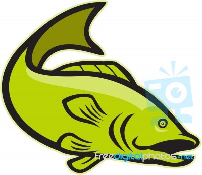 Largemouth Bass Jumping Cartoon Stock Image