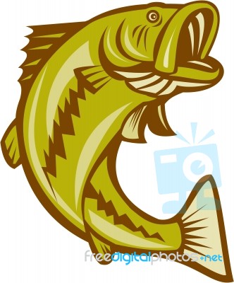 Largemouth Bass Jumping Cartoon Stock Image