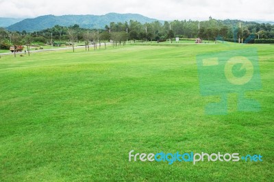 Lawn With Mountain Background Stock Photo