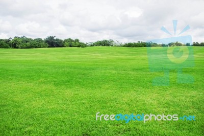 Lawn With The Sky Stock Photo