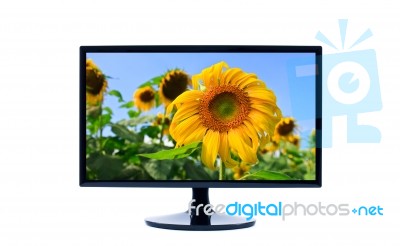 Lcd Monitor Stock Photo