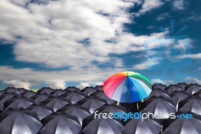 Leader Holding Multiple Color Umbrella Stock Photo