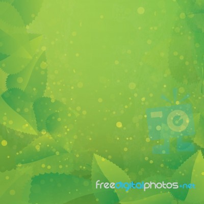 Leaf Background Stock Image