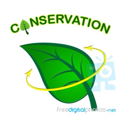 Leaf Conservation Represents Go Green And Conserving Stock Image