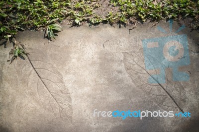 Leaf Print On Concrete Texture In Garden Stock Photo